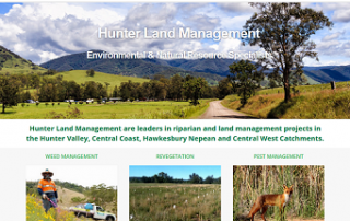 HLM website screenshot